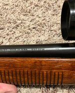 IMG_1148.jpeg