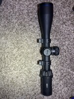 IMG_2750.jpeg