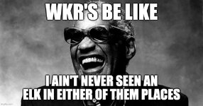 9wdz81.jpg