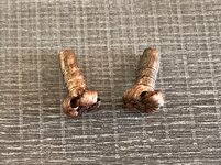 IMG_5557.jpeg