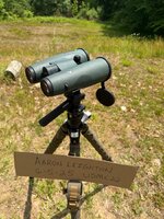 IMG_6014.jpeg