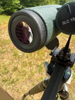 IMG_6016.jpeg