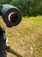 IMG_6017.jpeg