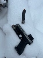 IMG_2331.jpeg