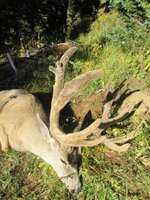 IMG_0594.jpeg