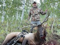 ELK.JPEG