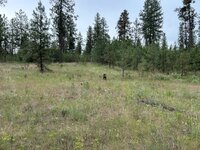IMG_2689.jpeg