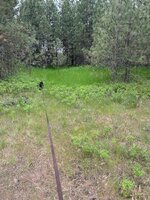 IMG_2693.jpeg
