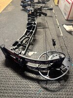IMG_8349.jpeg