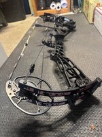 IMG_8348.jpeg