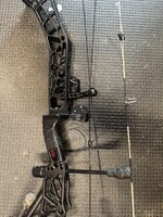 IMG_8347.jpeg