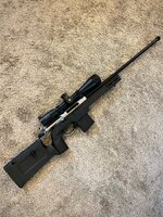 IMG_2600.jpeg