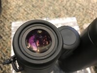 6132C2D0-04A0-4D16-8E21-68D0DE1E8306.jpeg