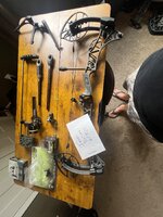 IMG_6344.jpeg