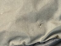 IMG_3116.jpeg