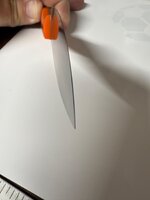 IMG_0387.jpeg