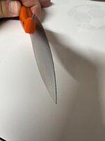 IMG_0385.jpeg