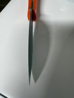 IMG_0384.jpeg