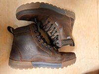 IMG_5095.jpeg