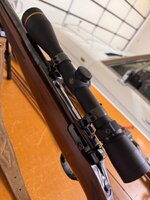 IMG_4248.jpeg