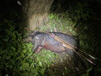 IMG_3832.jpeg