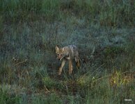 2-IMG_6025-20.JPG