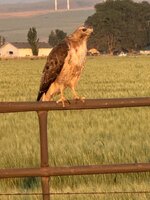 IMG_5855.jpeg