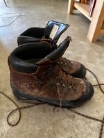IMG_6800.jpeg