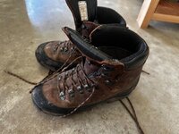 IMG_6801.jpeg