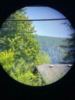 IMG_9966.jpeg