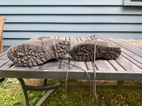 IMG_0522.jpeg