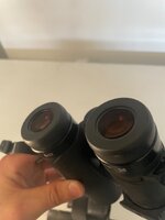 IMG_8761.jpeg