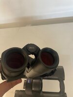 IMG_8762.jpeg