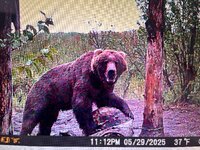 IMG_9986.jpeg