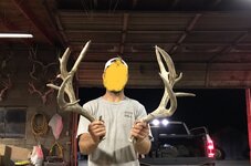 IMG_7650.jpeg