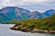 DSC_0530.JPG