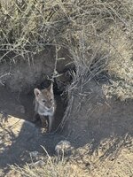 IMG_1387.jpeg