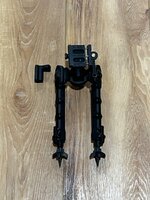 IMG_3943.jpeg