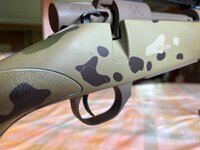 IMG_0854.jpeg