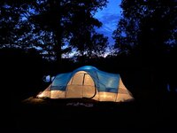 IMG_7872.jpeg
