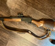 IMG_2864.jpeg