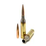 Ammo.jpg