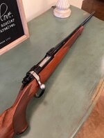 IMG_6611.jpeg