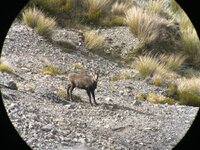 IMG_3151.jpeg