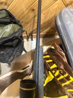 IMG_6490.jpeg