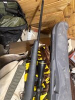 IMG_6485.jpeg