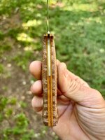 IMG_8969.jpeg
