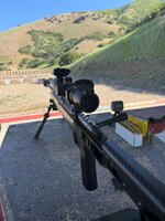 IMG_2793 (1).jpeg