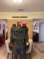 IMG_2381.jpeg