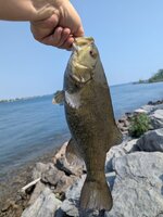 PXL_20250604_200542845.jpg